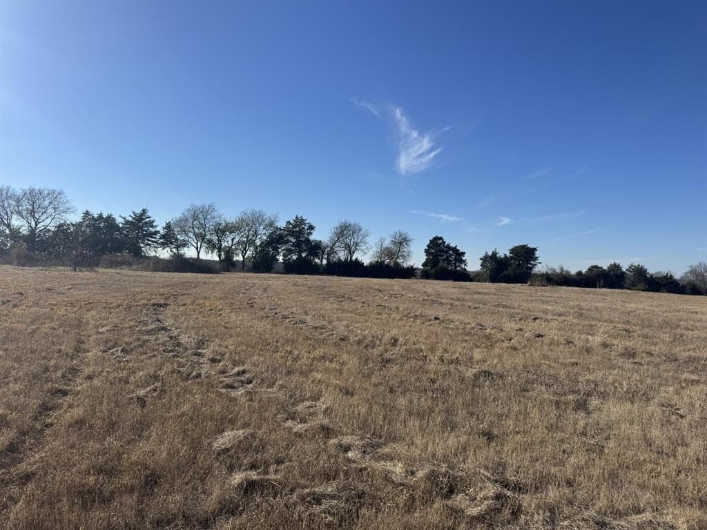 11 acres in Lamar County featured view