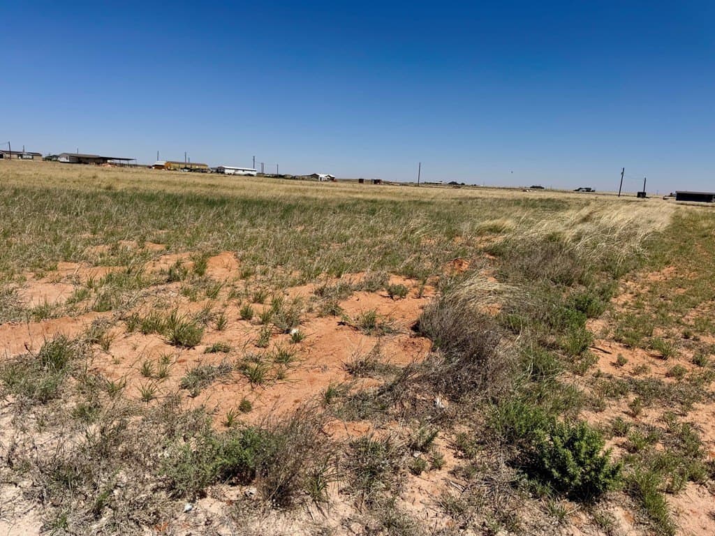 2 acres in Gaines County - photo 7