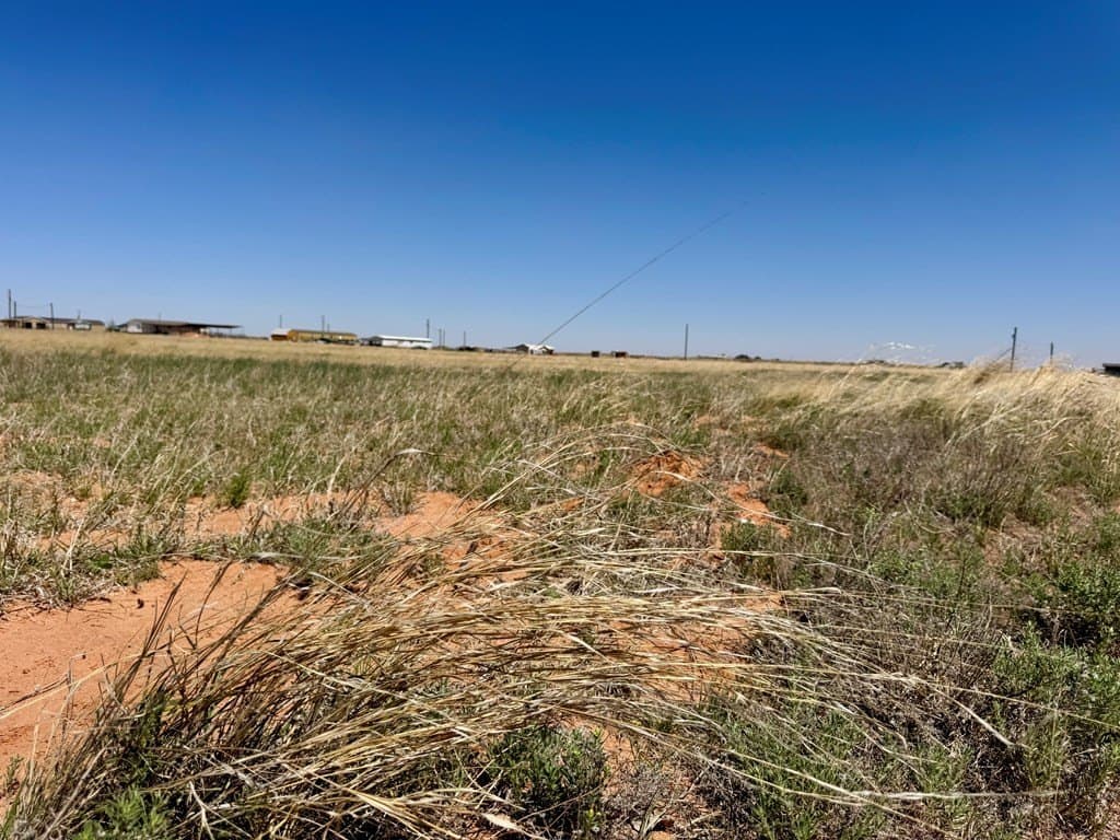 2 acres in Gaines County - photo 6