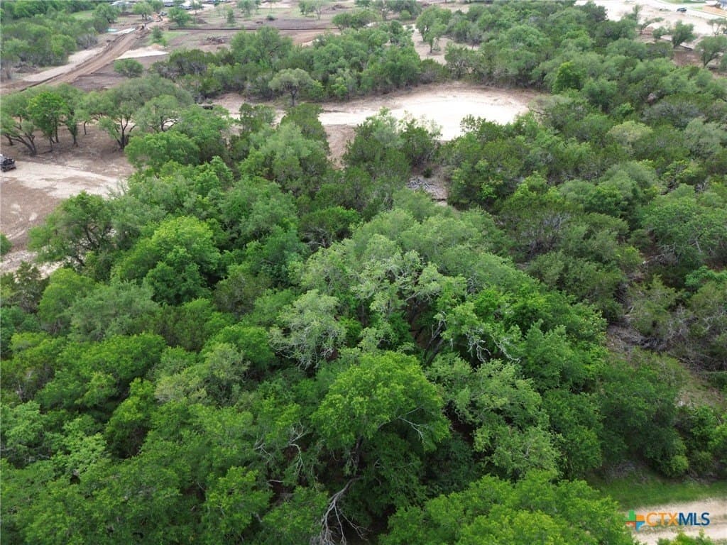 0.85 acres in Bell County gallery image 2