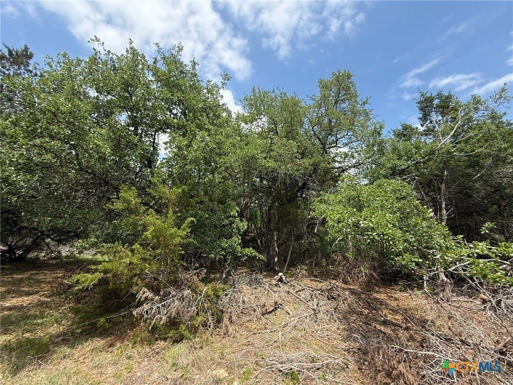 0.85 acres in Bell County gallery image 4