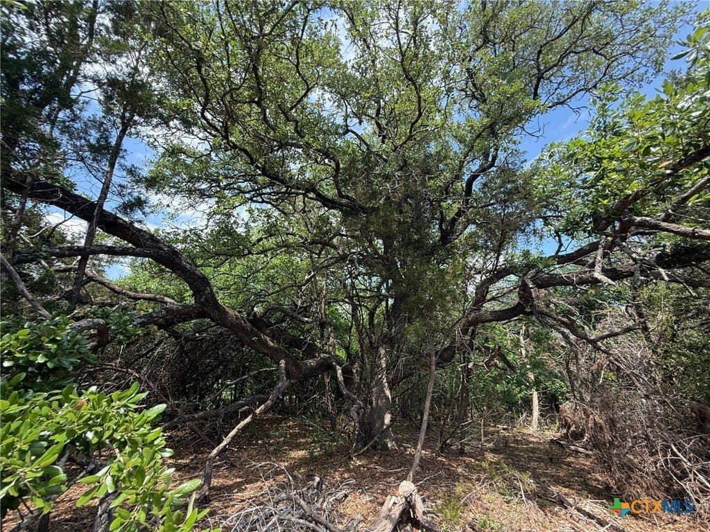 0.85 acres in Bell County featured view