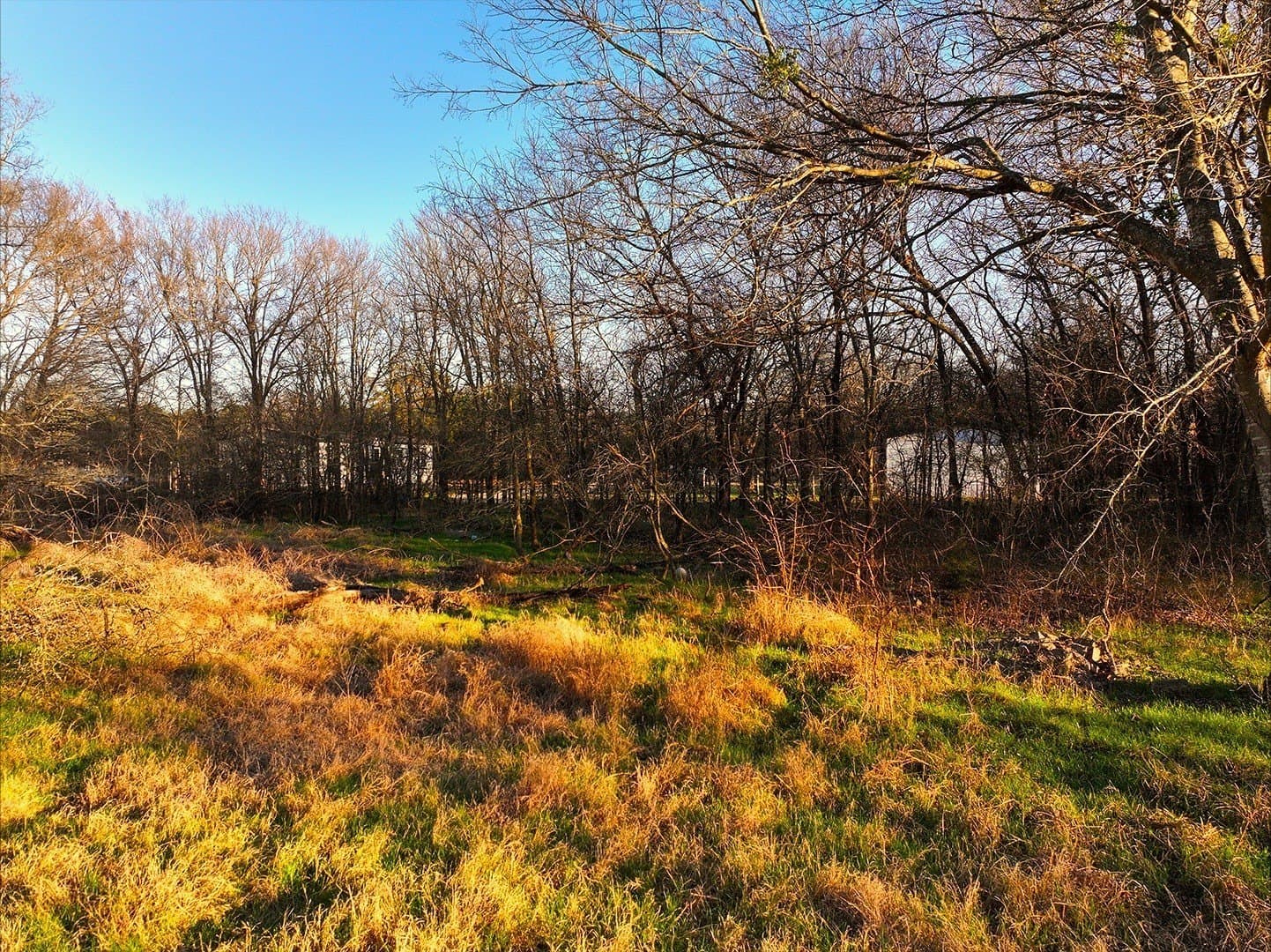 0.34 acres in Navarro County - photo 7
