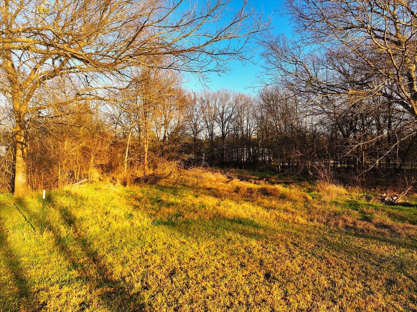 0.34 acres in Navarro County - photo 4