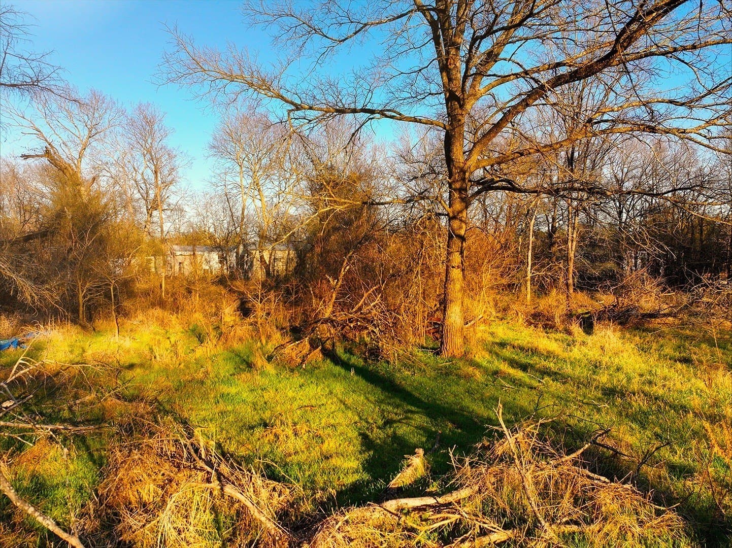 0.34 acres in Navarro County - photo 9