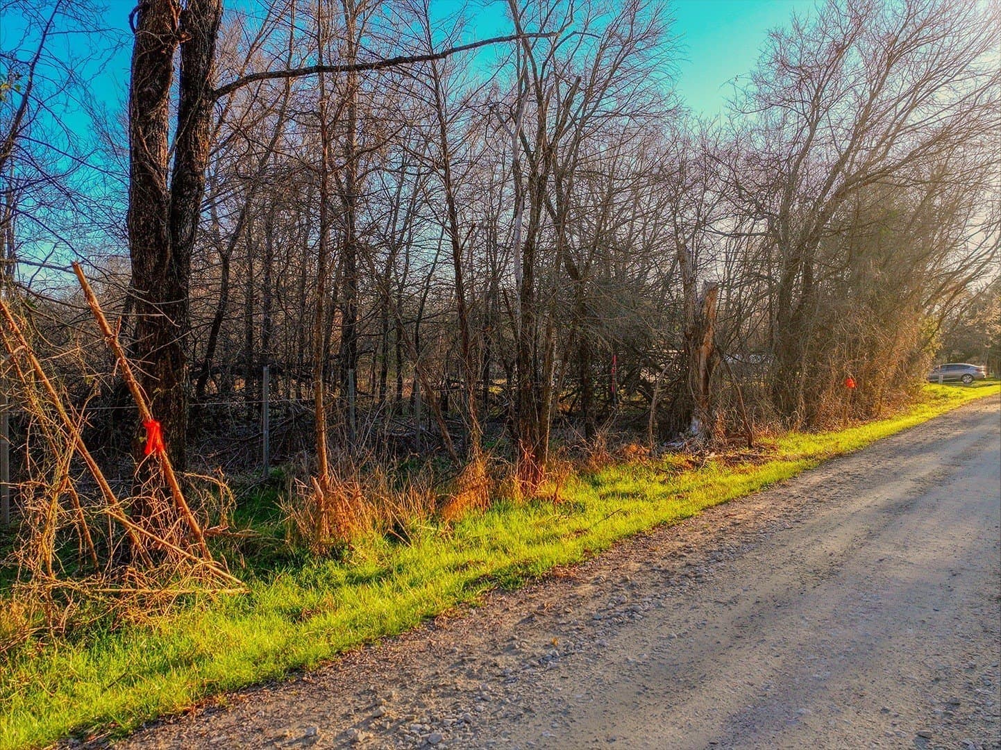 0.34 acres in Navarro County - photo 5