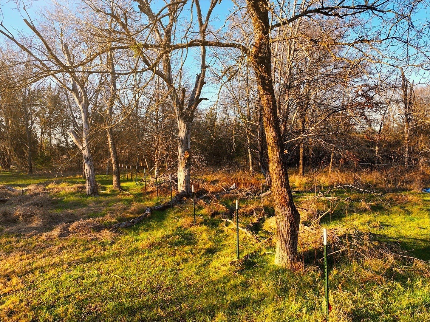 0.34 acres in Navarro County - photo 8