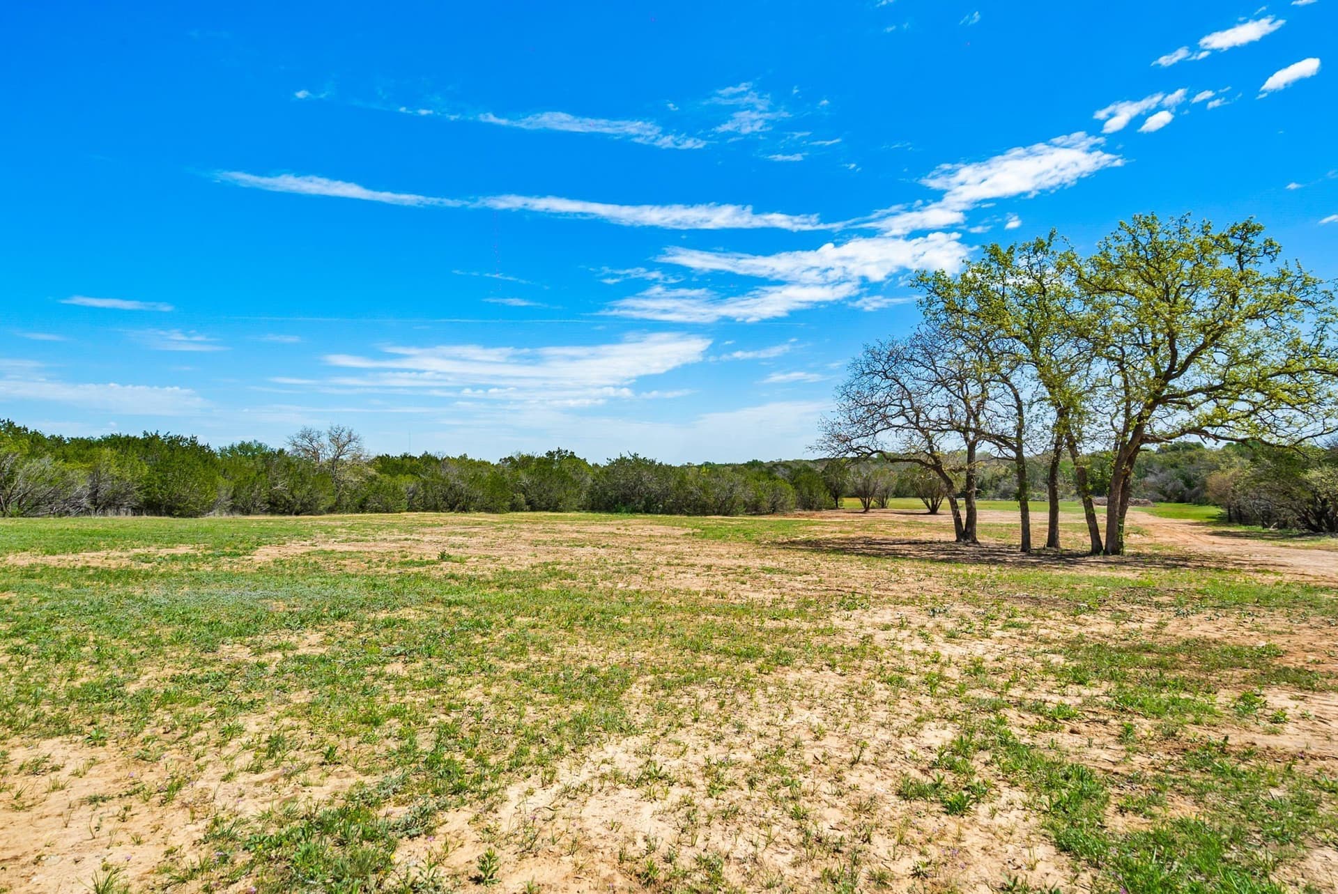 26.69 acres in Erath County gallery image 3