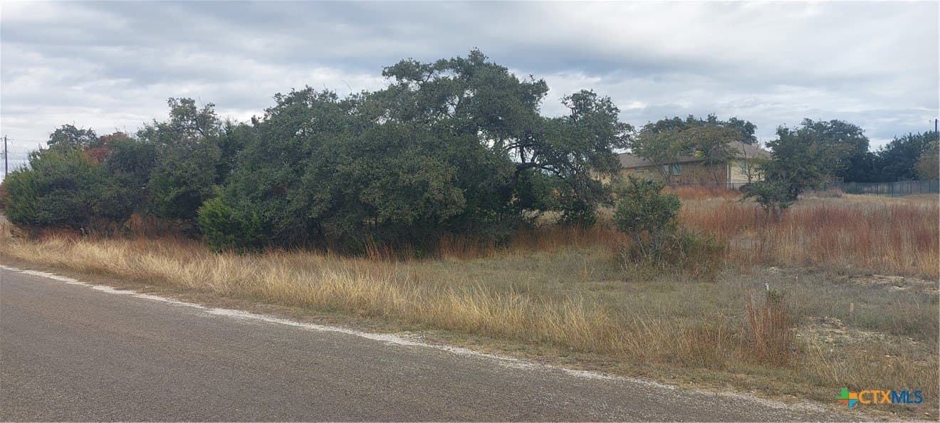 0.31 acres in Blanco County - photo 2