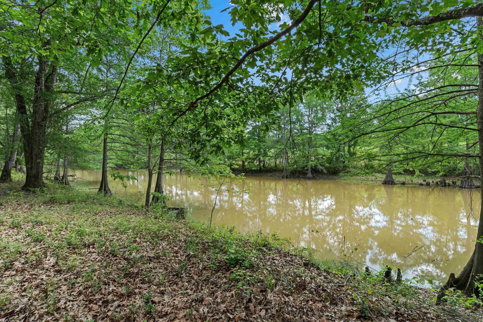 702.52 acres in Panola County - photo 12