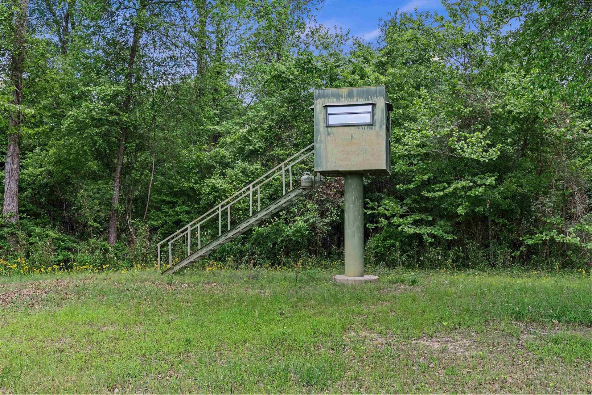702.52 acres in Panola County - photo 26