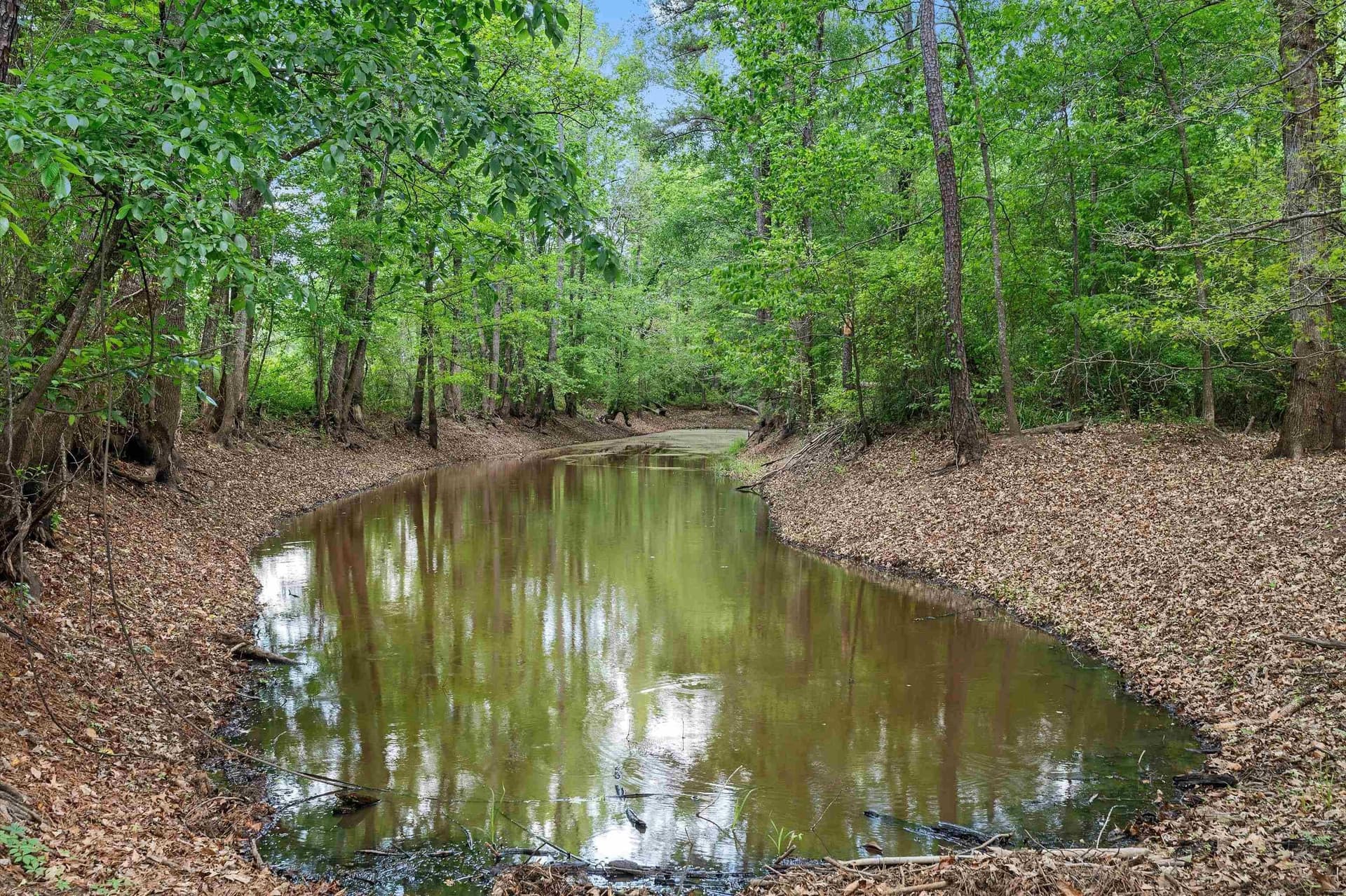 702.52 acres in Panola County - photo 18