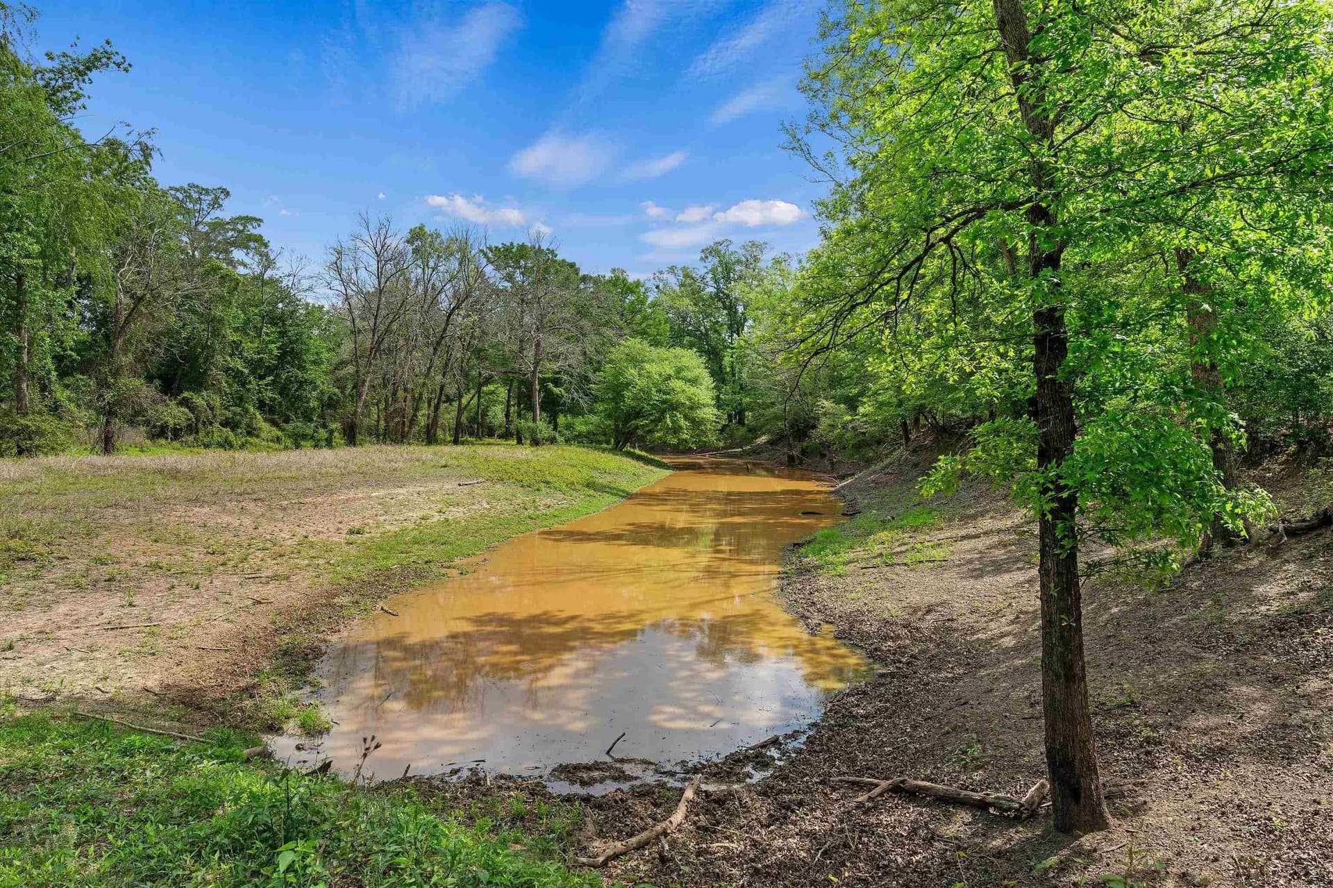 702.52 acres in Panola County - photo 16