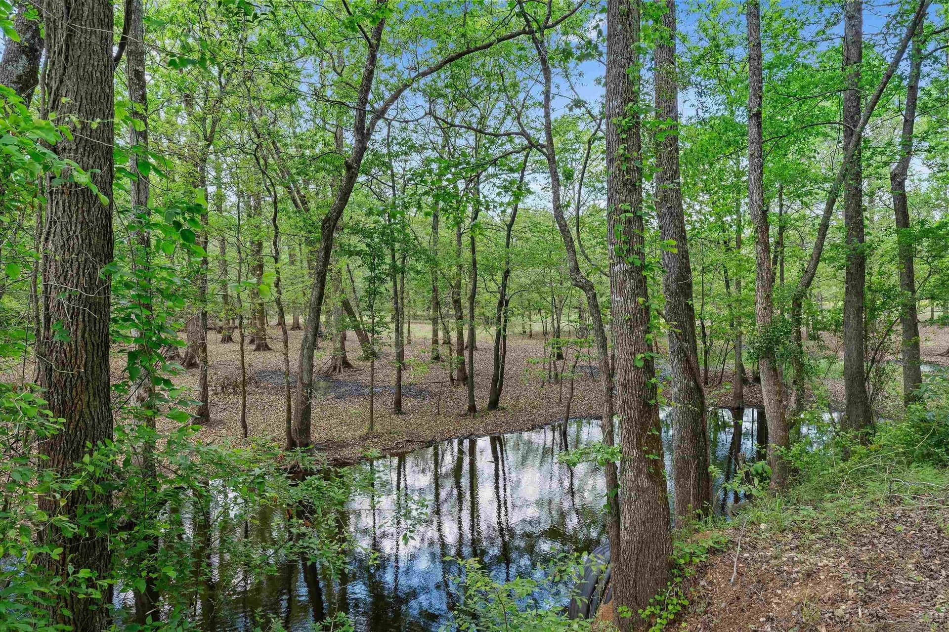 702.52 acres in Panola County - photo 19