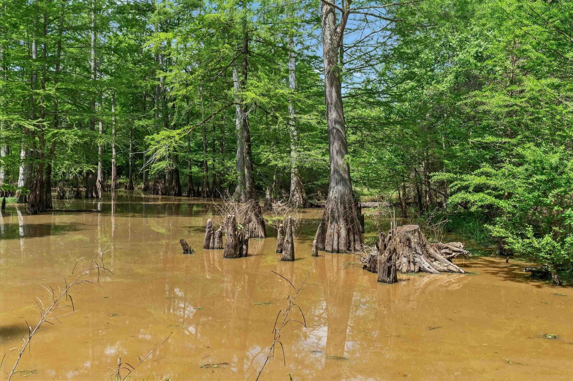 702.52 acres in Panola County - photo 6