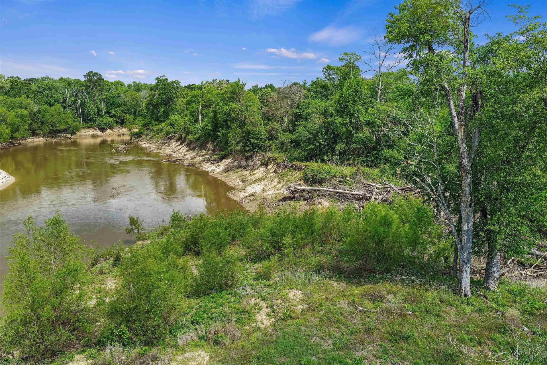 702.52 acres in Panola County - photo 11