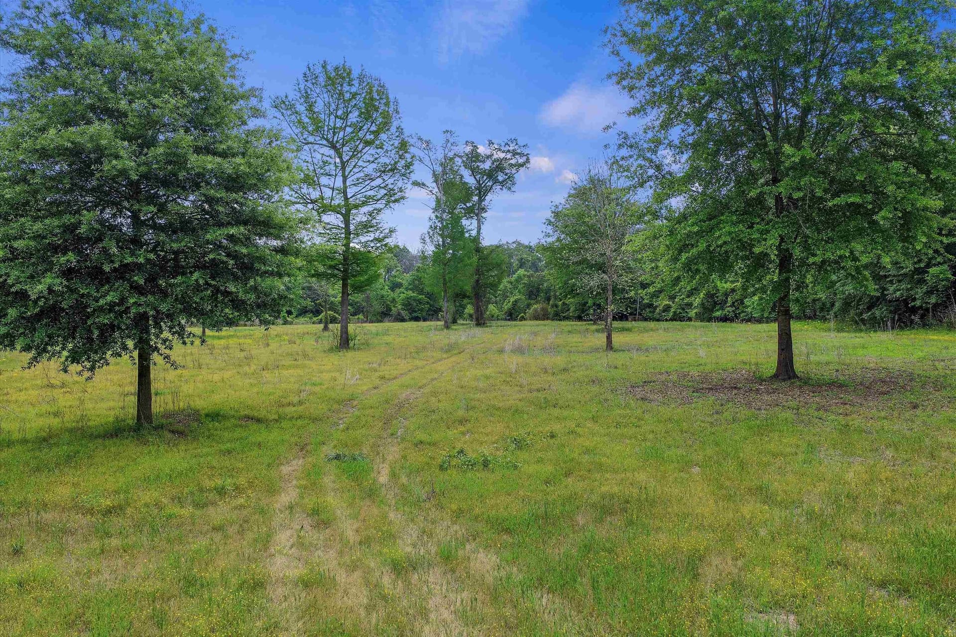 702.52 acres in Panola County - photo 4