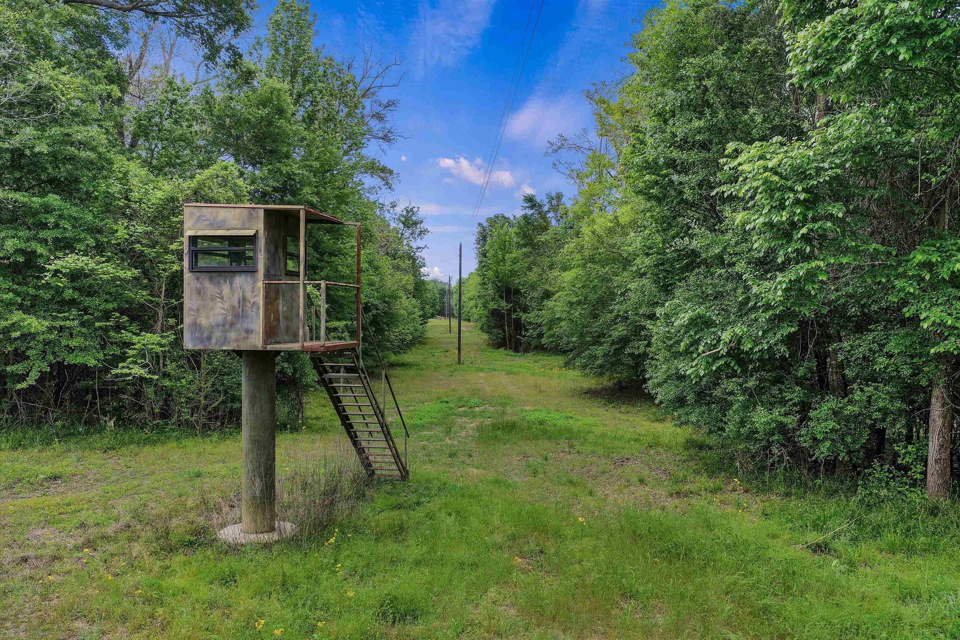 702.52 acres in Panola County - photo 5