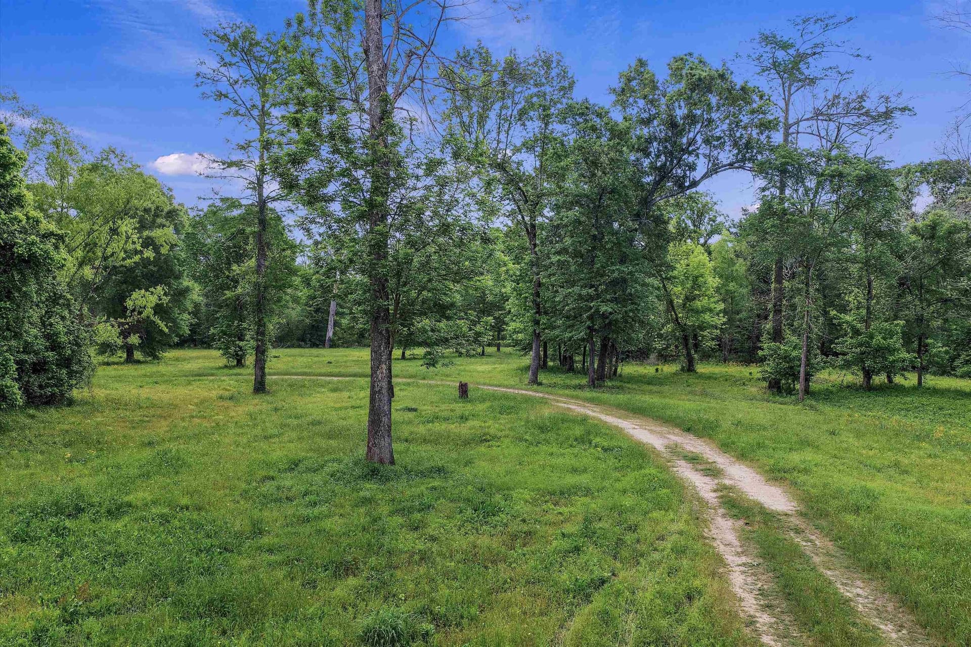 702.52 acres in Panola County - photo 7