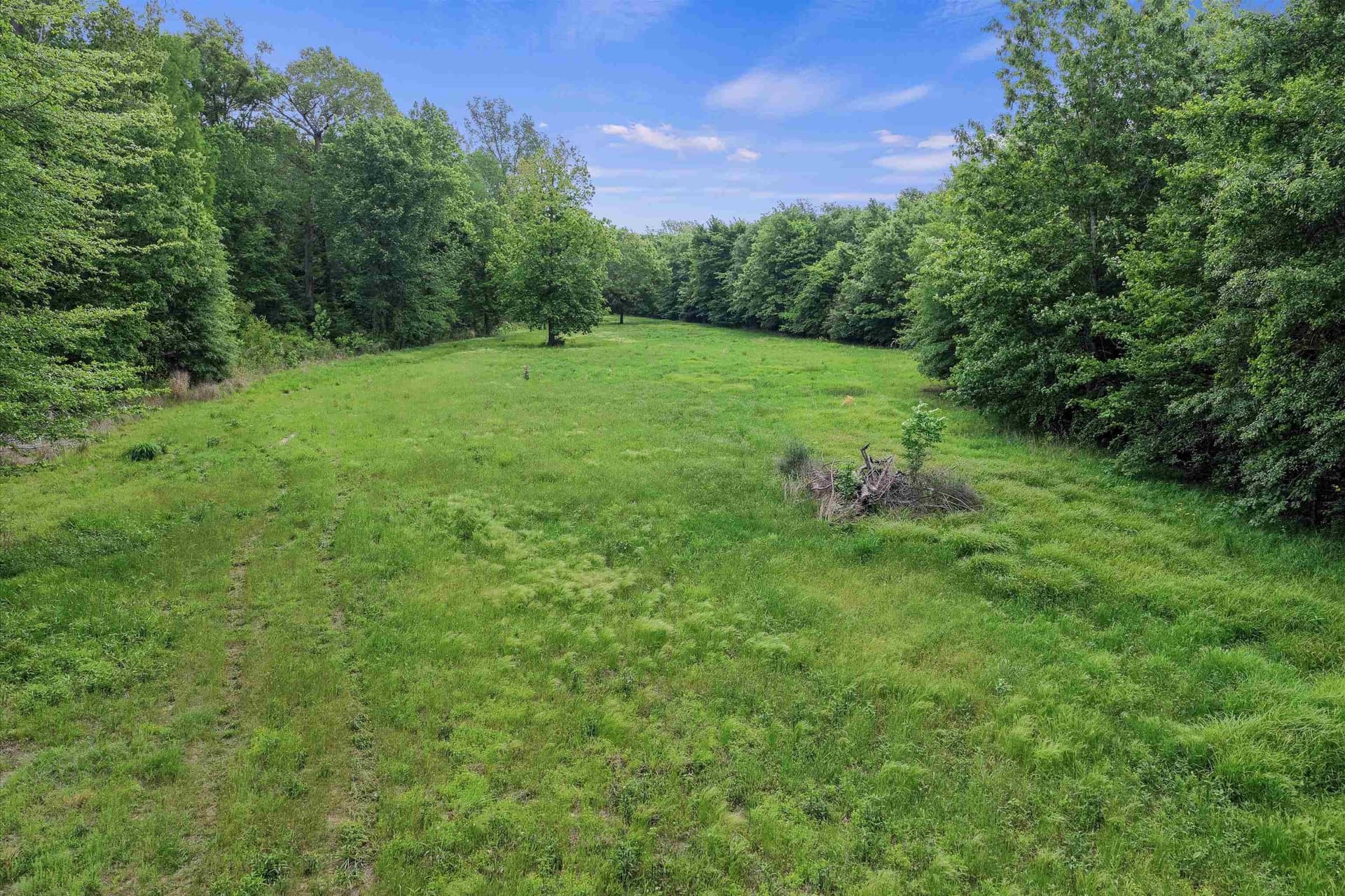 702.52 acres in Panola County - photo 23