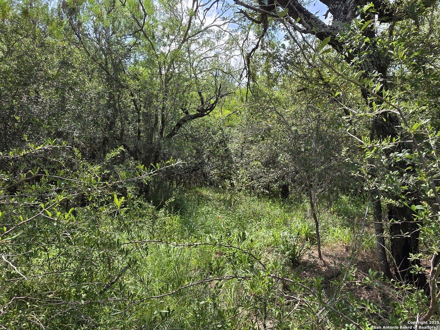 4.61 acres in Guadalupe County featured view