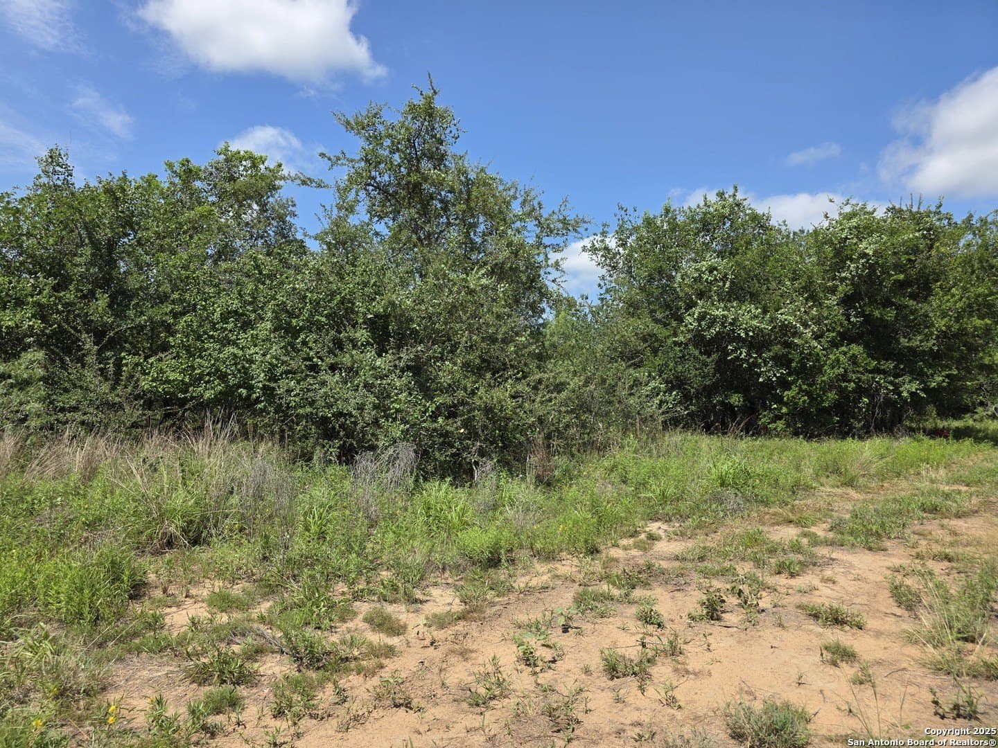 4.61 acres in Guadalupe County gallery image 2
