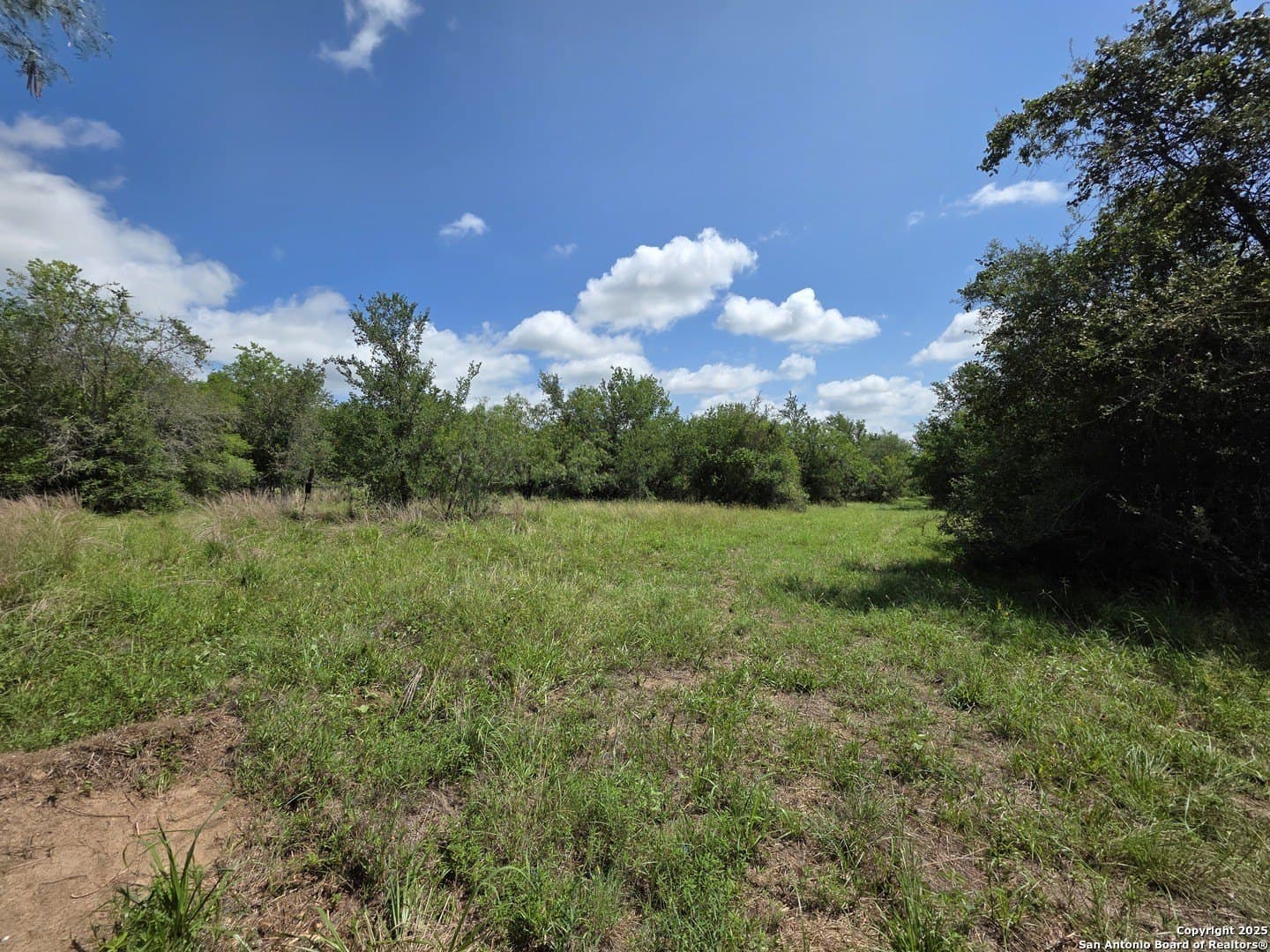 4.61 acres in Guadalupe County gallery image 4