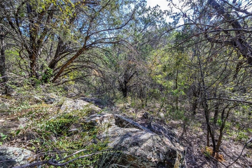 28.6 acres in Palo Pinto County gallery image 2