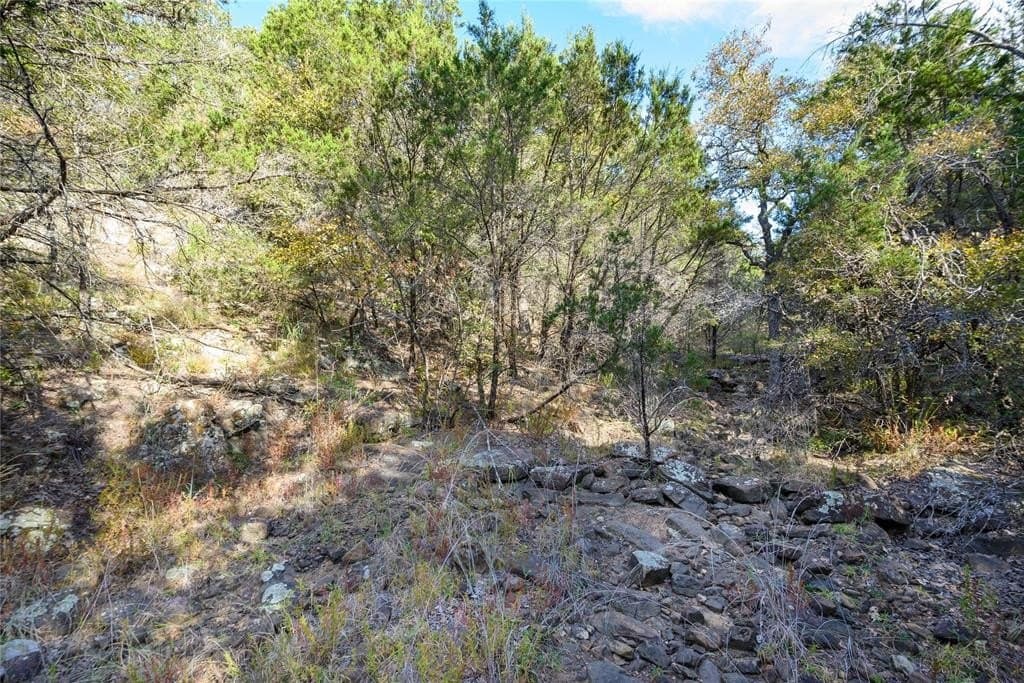 28.6 acres in Palo Pinto County gallery image 4