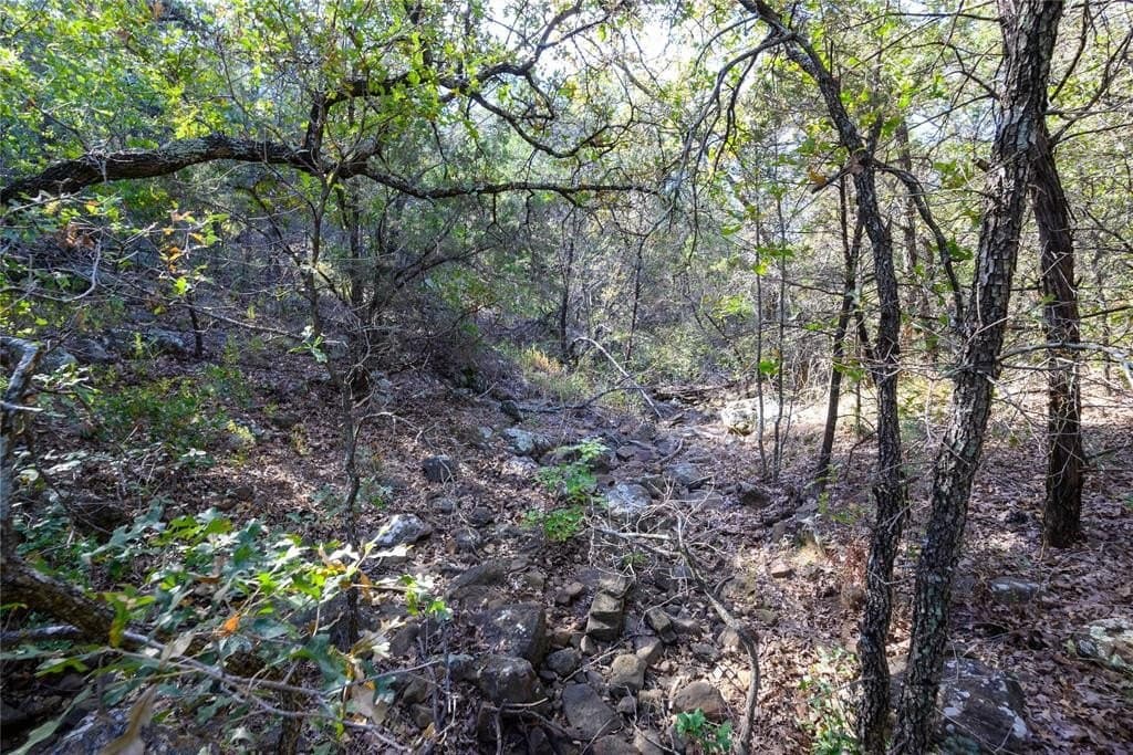 28.6 acres in Palo Pinto County gallery image 3