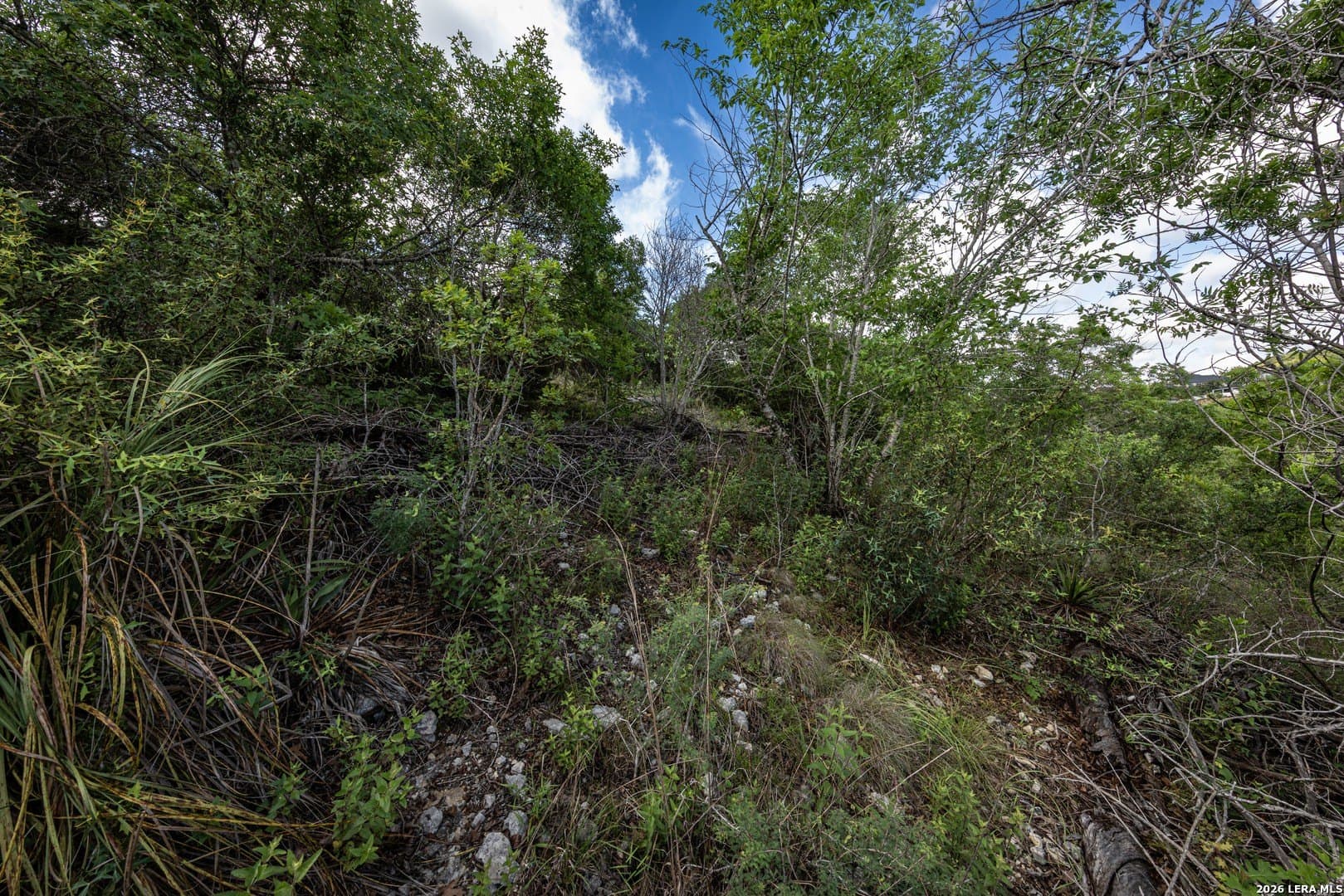 0.66 acres in Bexar County - photo 18