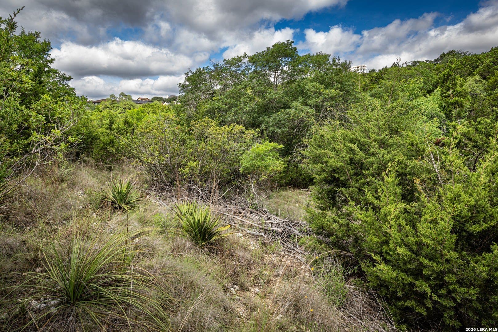 0.66 acres in Bexar County - photo 19