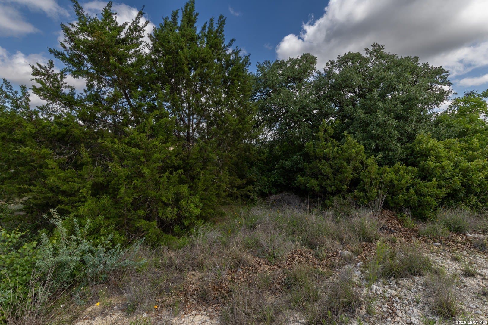 0.66 acres in Bexar County - photo 17