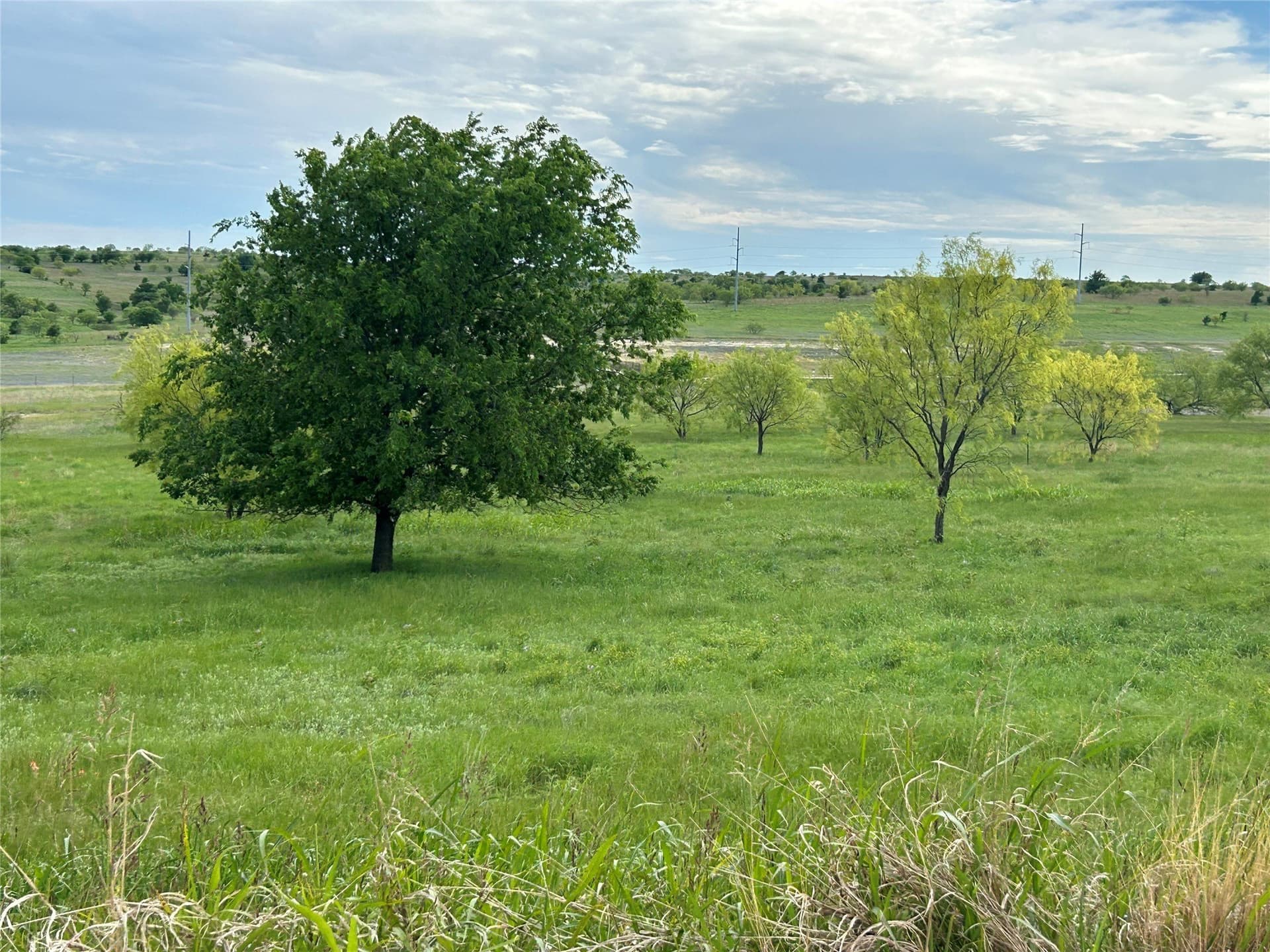2.52 acres in Parker County - photo 5
