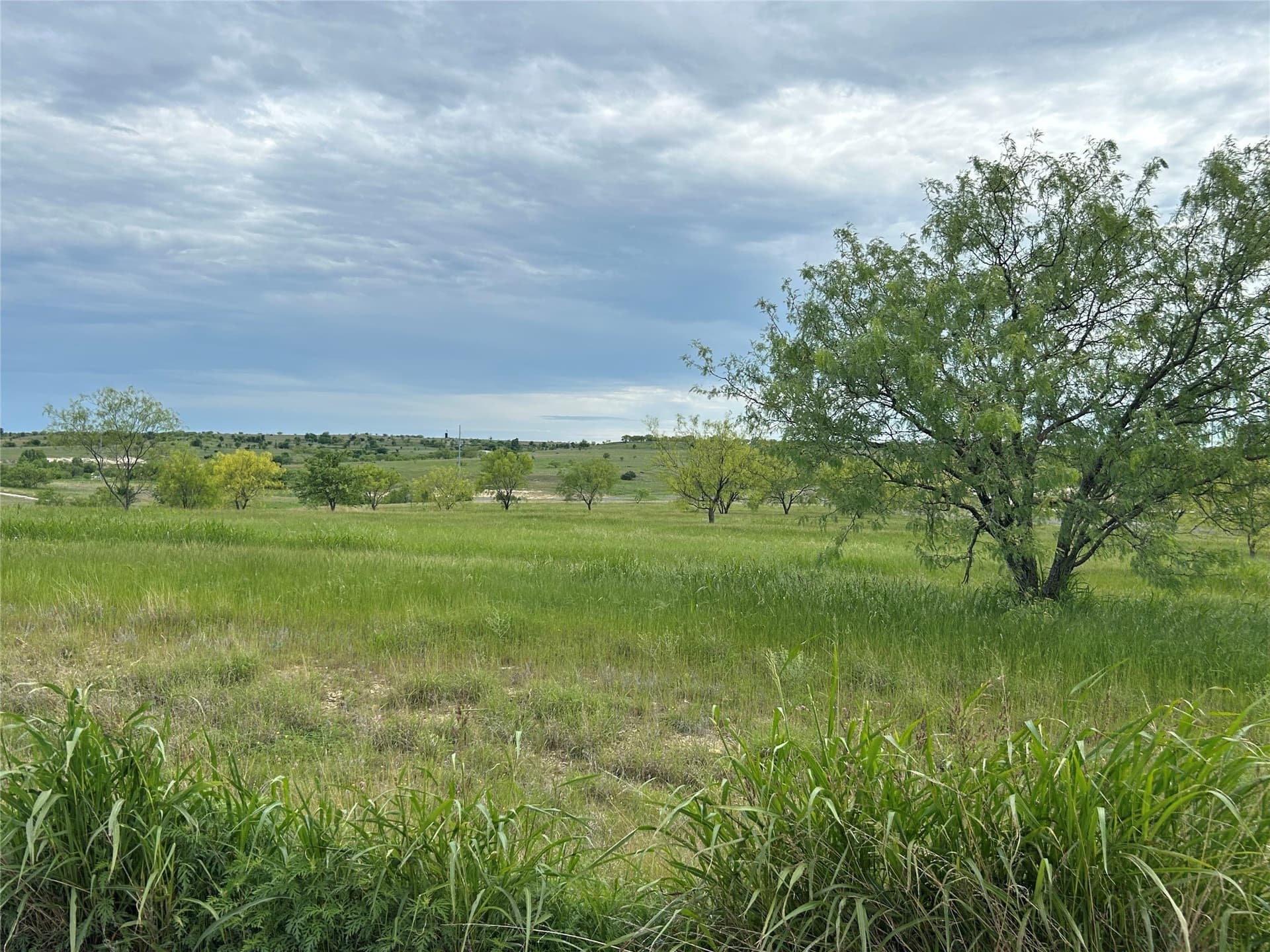 2.52 acres in Parker County - photo 17