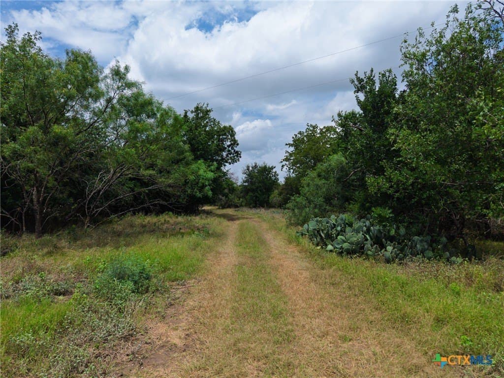 13.97 acres in Lampasas County - photo 29