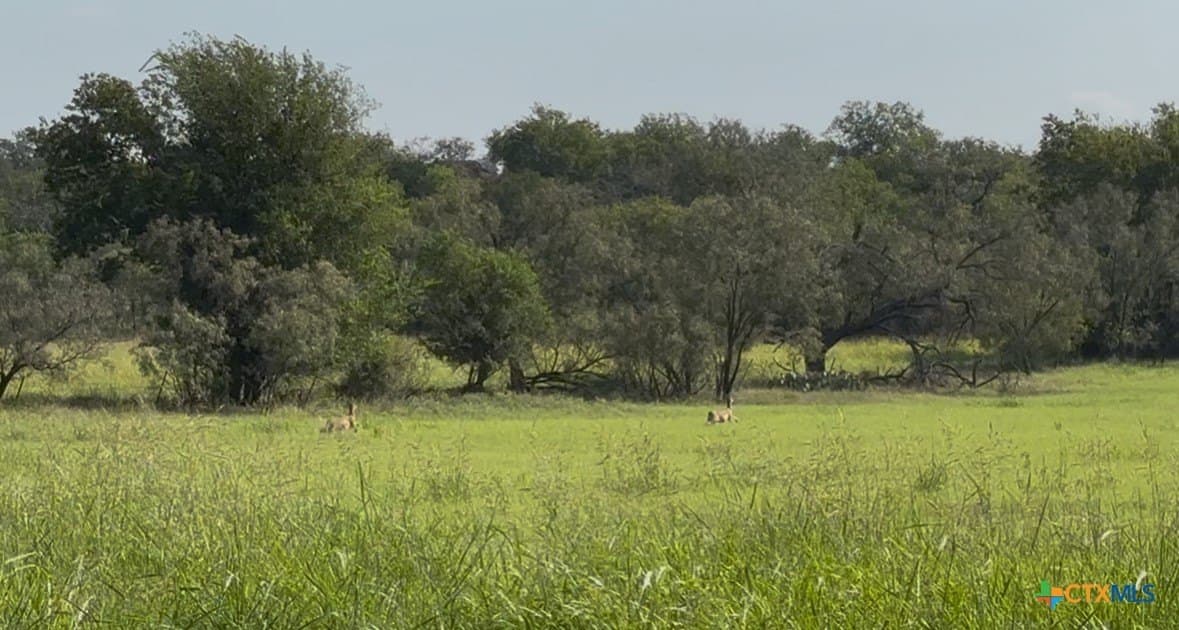 13.97 acres in Lampasas County - photo 12