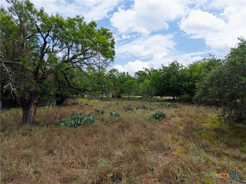 13.97 acres in Lampasas County - photo 38