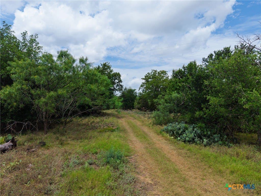 13.97 acres in Lampasas County - photo 37