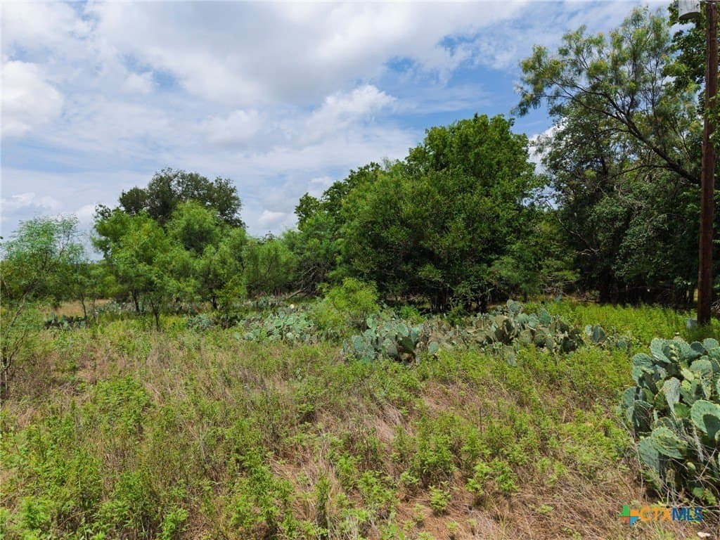 13.97 acres in Lampasas County - photo 40