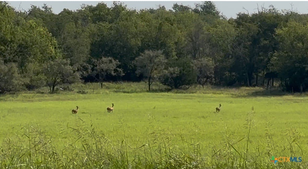 13.97 acres in Lampasas County featured view