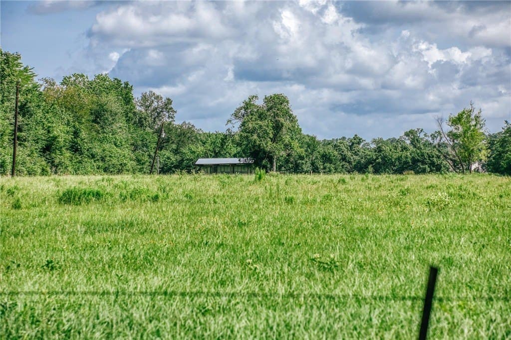 4.35 acres in MONTGOMERY County - photo 6