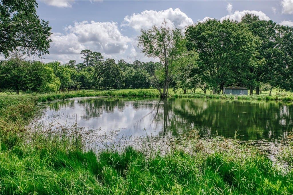 4.35 acres in MONTGOMERY County - photo 10