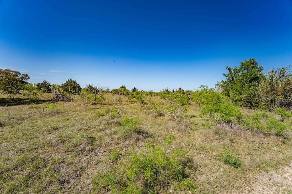 141.67 acres in Fayette County gallery image 3