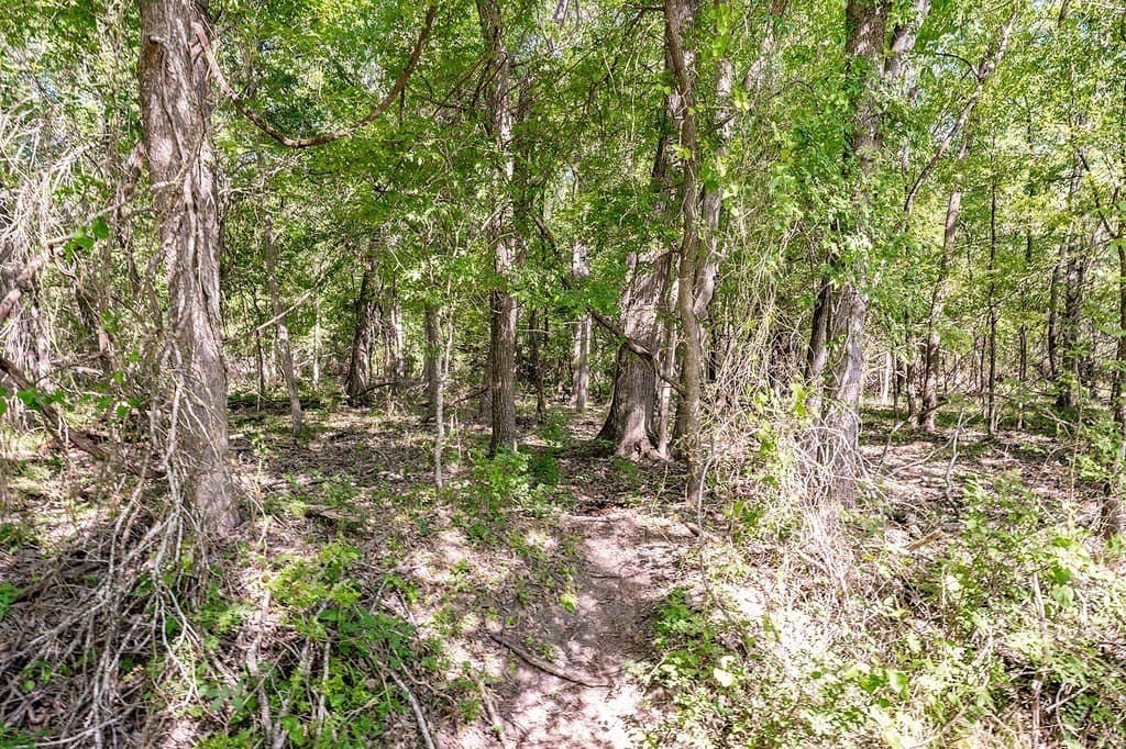 141.67 acres in Fayette County gallery image 4