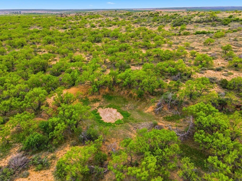 79.5 acres in Fisher County - photo 23