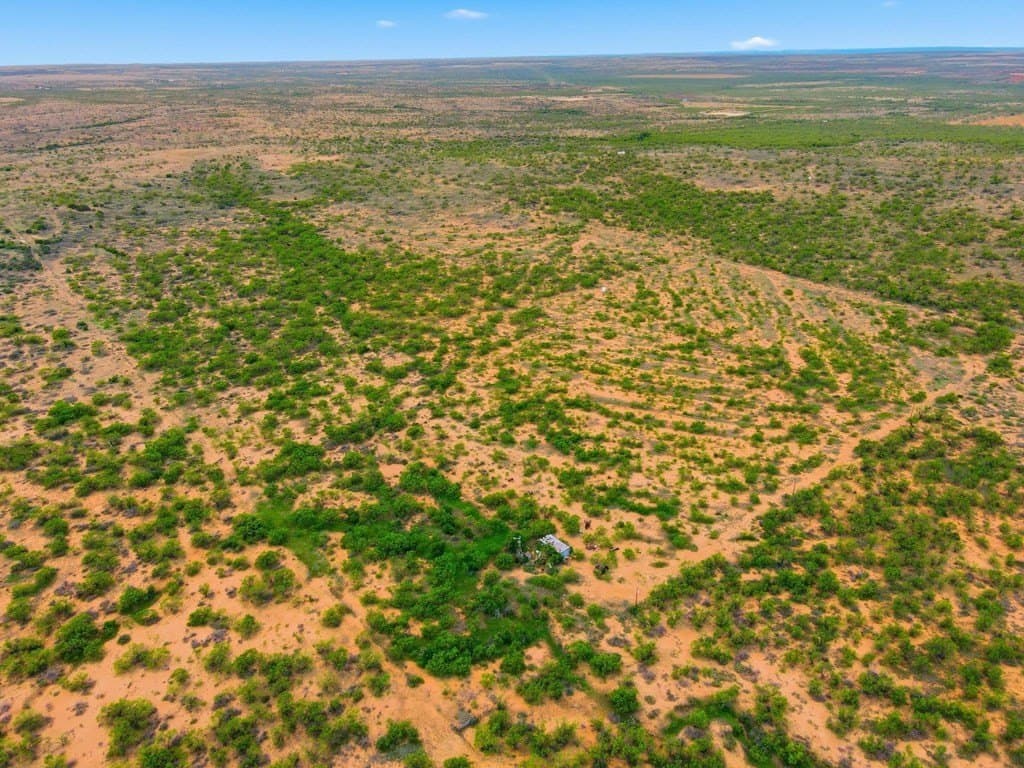 79.5 acres in Fisher County - photo 8