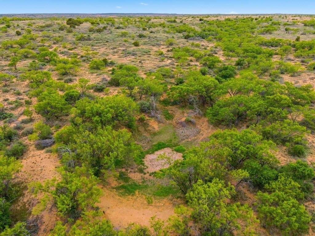 79.5 acres in Fisher County - photo 14