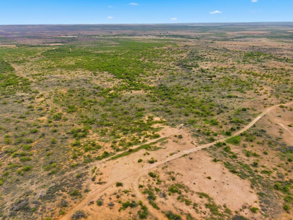 79.5 acres in Fisher County gallery image 4