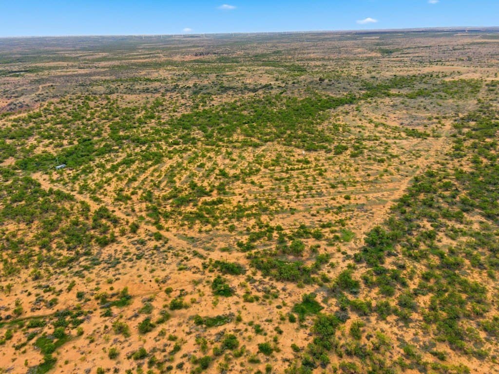 79.5 acres in Fisher County gallery image 2